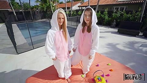 Two Bunnies, One Knob 1 - Alice Mer